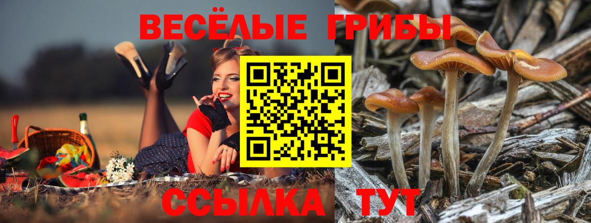 Галлюциногенные грибы ЛСД  Вход с VPN  Орск 